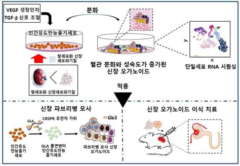 유두개발 방법|분자 언어 해독: 생성 AI가 신약 개발을 가속화하는 방법 .